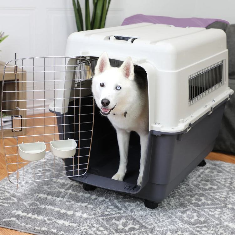 Pet Carriers