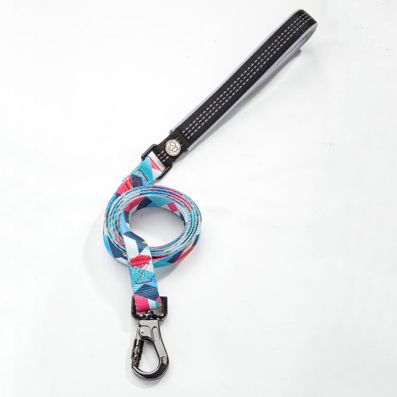 Pet supplies dog leash