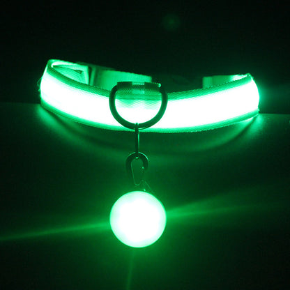 Pet Supplies Dog Collar Luminous Fashion