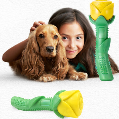 Dog Teether Pet Supplies