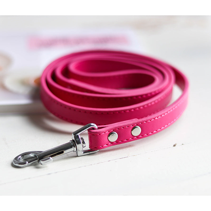 Pet leash collar