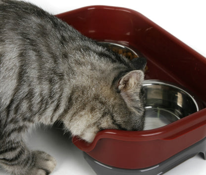 Dog bowl cat bowl pet cat double basin splash-proof neat dog cat rice bowl food bowl stainless steel bowl