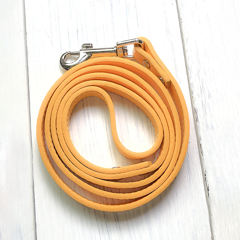 Pet leash collar