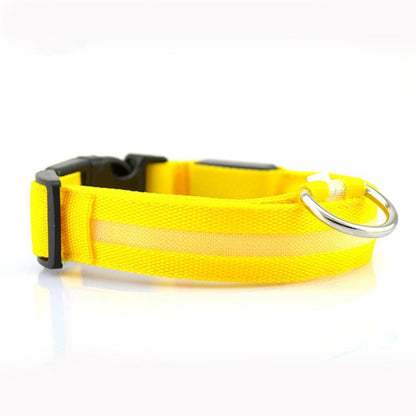 LED Pet Safety Collar