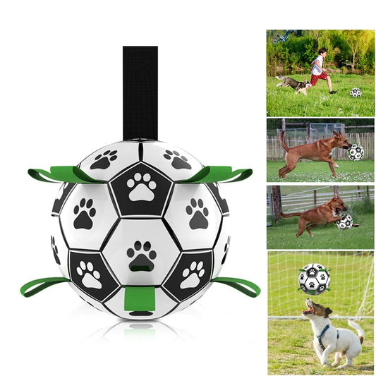 Dog Interactive Outdoor training Football Toys