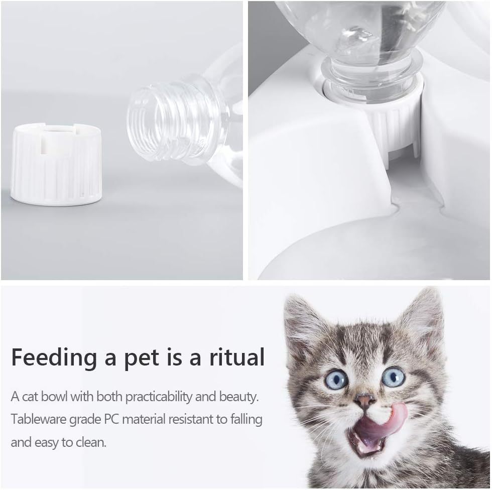 Double Dog Cat Bowls Pets Water And Food Bowl Set 15 Tilted Water And Food Bowl Set With Automatic Waterer Bottle For Small Or Medium Size Dogs Cats