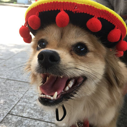 New Sales Pet Supplies Hot Dog Hats