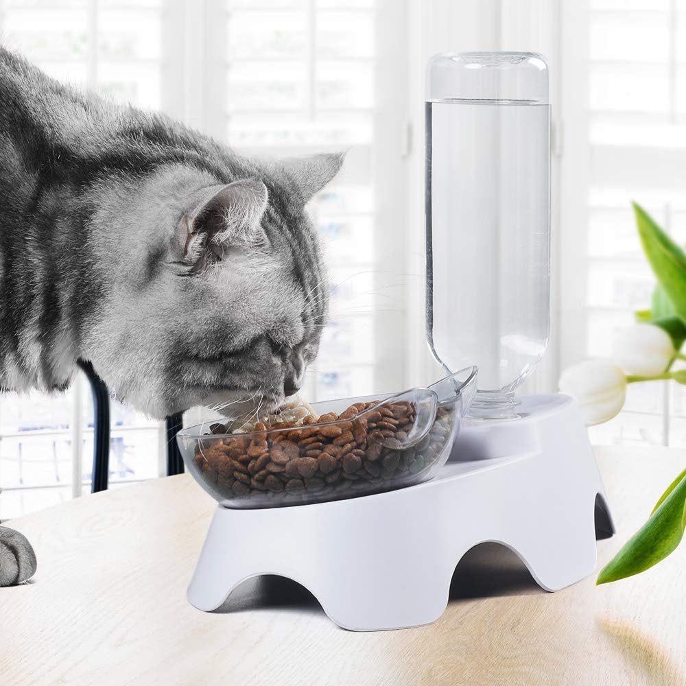 Double Dog Cat Bowls Pets Water And Food Bowl Set 15 Tilted Water And Food Bowl Set With Automatic Waterer Bottle For Small Or Medium Size Dogs Cats